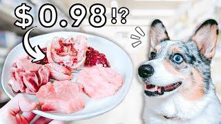 The Cheapest Raw Food I Could Find For My Dog