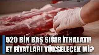 520 Bin Baş Sığır İthalatı! Kırmızı Et Fiyatları Yükselecek mi? / AGRO TV HABER