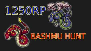 TIBIA - 1250 RP - BASHMU HUNT [Summer Update / New Respawn]