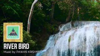 RIVER BIRD: Pawan Krishna IWRITE TV #meditate #India #IndianMusic #pakistan #musicvideo #Hindi