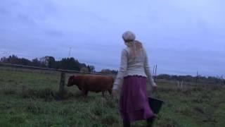 Cowgirl school 2 - Milking - calling in the cows