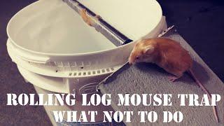 Rolling log mouse trap ( WATCH VIDEO BEFORE USEING )