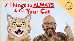 Instantly Improve Your Cat's Life with these 7 Things