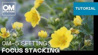 OM-5 Settings: Focus stacking