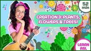 Learn About Creation Day 3! Plants Ground and Trees 🪴