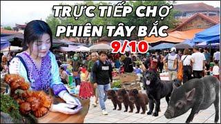 TRỰC TIẾP CHỢ PHIÊN TÂY BẮC 9/10 - ĐỘC ĐÁO CHỢ SÍN CHÉNG SIMACAI LÀO CAI