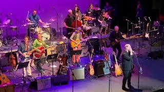 Lonely (Amy's Theme) - John Sebastian (The Lovin' Spoonful) @ Wild Honey Orch Tribute Show 2.29.2020