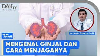 Ginjal dan Cara Menjaganya | Bincang Sehati