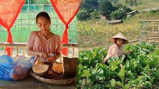 18 year old single mother: Harvesting vegetables to sell and receiving unexpected gifts