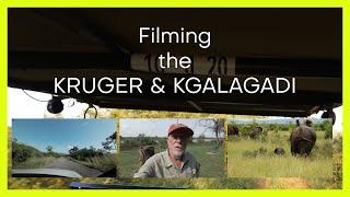 Filming The Kruger & Kgalagadi (What Camera Do You Use?)