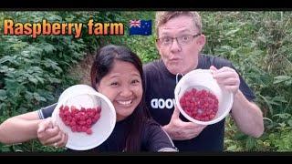 Pinay berry-licious adventure - New Zealand