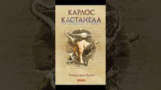 Счастливое детство в интернете #нетакуси #2015 #deathinjune #буерак #двач