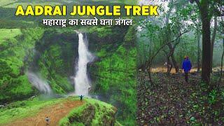 AADRAI JUNGLE - The Dark Forest Of Maharashtra | Aadrai Jungle Trek Complete Information