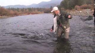 "Trinity River Steelhead" this week on AWTV