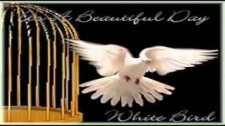 It's A Beautiful Day - White Bird (1969)