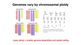 MCB 182 Lecture 1.1 - Review - Genome content