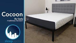 Sealy Cocoon Mattress Review