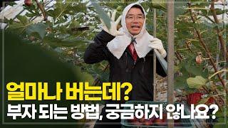 고수익 무화과 농장, 어떻게 가능할까? 국내 최대 무화과 농장 탐방