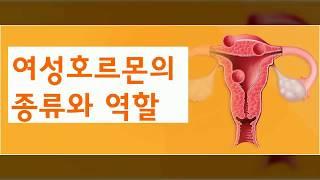 여성호르몬의 종류와 역할