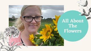 Flowers at the Allotment // Growing Cut Flowers