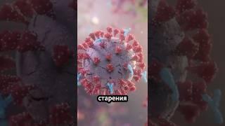 Тайные свойства свеклы для организма #здоровье #зож #свекла #польза #правильноепитание