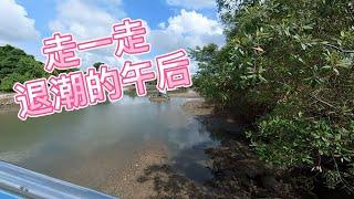 【退休日常生活】宁静的下午 #新加坡退休生活 #狮城土生土长 #退休生活日常 #记录真实生活 #SingaporeRetirementLife