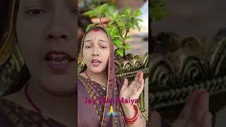 Meri Tulsi Ke gamle per Om likha hai#trending #ytshorts #ytvideo #