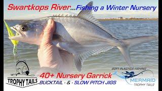 Swartkops River 40+ Juvenile Garrick, Winter Nursery Fishing!! :-)