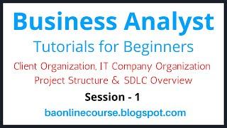 Business Analyst Tutorials for Bebinners | Client Organization | Project Structure | IT Company Org