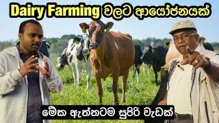 Dairy Farming වලට ආයෝජනයක් සමග ඔබට ඉහළ ප්‍රතිලාභ/#dairyfarming #livestock #dairyfarmer