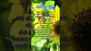 따뜻한 말 삶의 지혜 감성적인 글귀를 통해  지친 마음에 작은 위로가 되어드리고자 합니다
