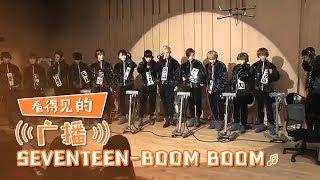 [Chinese SUB] Do you think you can Handle Them? SEVENTEEN 'BOOM BOOM' | Visual Radio