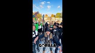 Freestyle one take - Let's GO GORILLA!