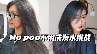 【no poo第10天】脱发减少了头屑没了