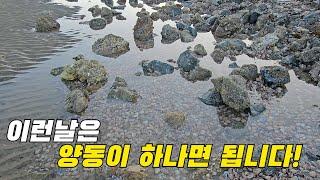 조개띠가 보이는날은 양동이부터 무조건 챙겨야하는 해변! / If you look at the belt of  clams, you must go to the  beach