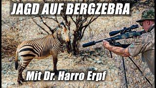 Jagd auf Bergzebra: Ein Abenteuer der Extraklasse