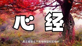 心经中的终极秘密！#心灵感悟 #开悟人生 #智慧人生