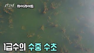 [하이라이트] FishingTV 시그널 시즌2 1화 - 1급수의 수중 수초 (2025.03.10.방송)