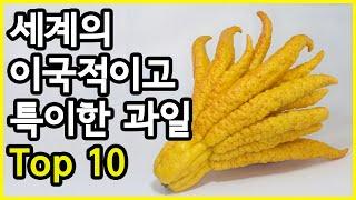 몇 가지를 드셔봤습니까? 세계에서 가장 이국적이고 특이한 과일 Top 10