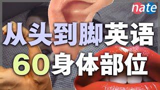 60个最常见身体部位英语单词发音教学【从零开始学英语初级】保姆级听力训练 Nate-Onion English