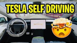 TESLA SELF DRIVING to their designated parking