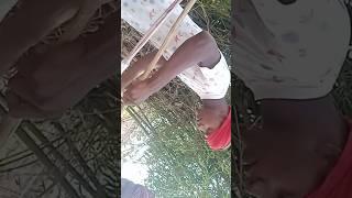 sneak cut and party to men #shorts #vrial #sneakerhead #party #shortvideo