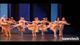 Swan Lake - Act I - Opera de Paris