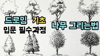 [펜드로잉]나무 잘그리는법/기초선연습