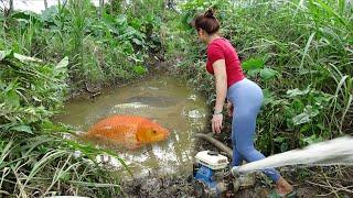 Greatest Fishing Videos: Fishing Catching Fish With Pump, Harvesting A Lot Of Fish In The Lake