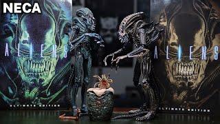 NECA ALIEN WARRIOR BROWN AND BLUE VERSION REVIEW ( ALIENS ) ULTIMATE FIGURE