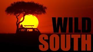 WILD SOUTH | Amazing Nature of Southern Africa Full Documentary