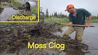 Unclogging Culvert Filled With Mud And Moss To Return Flow