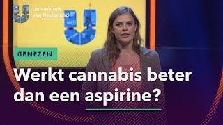 Werkt cannabis beter dan een aspirine? | GENEZEN