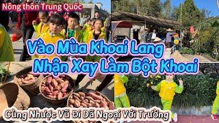 306Năm Nay Trúng Mùa Khoai Lang, Nhà Bận Rộn Từ Sáng Làm Tinh Bột Khoai.Đi Dã Ngoại Trường Tổ Chức